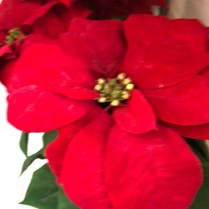 Meet your Posher, Debra